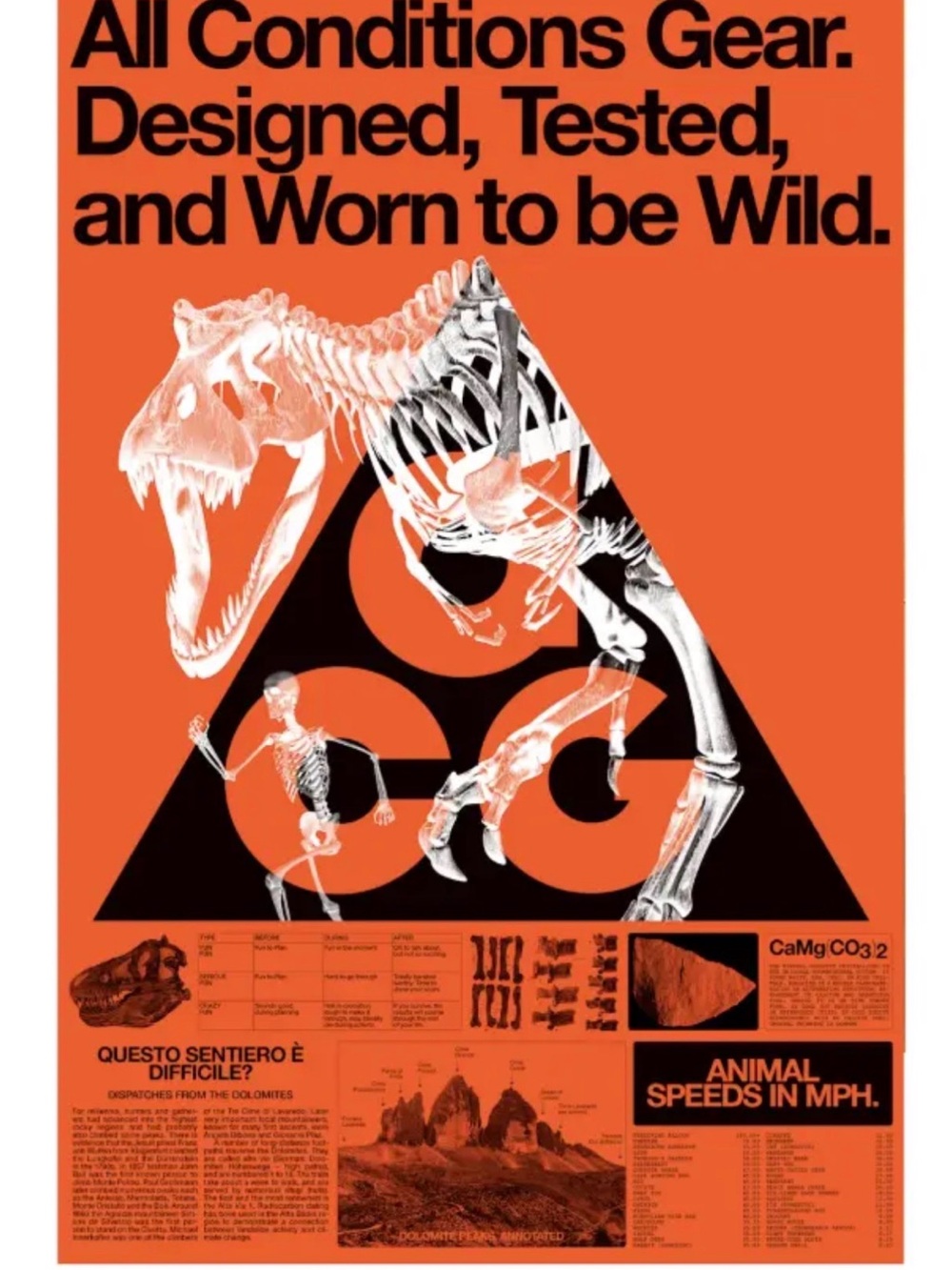 Nike ACG Orange Black Dinosaur Skeleton Graphic Poster